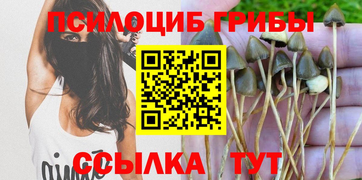 Азнакаево  Галлюциногенные грибы ЛСД  Вход с VPN 
